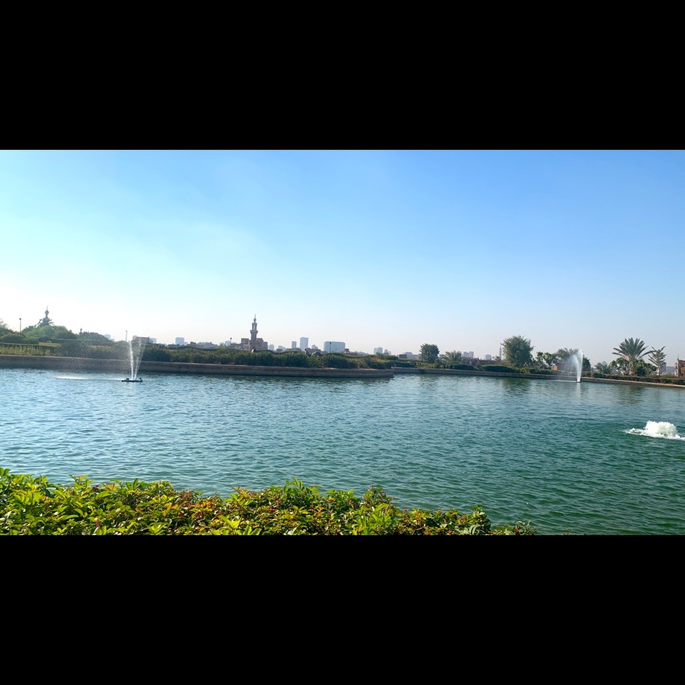 Meet your Posher, Reina